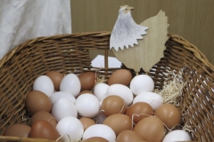 D4901989-79CE-4C1D-A21D-2D41D8E4744A_1_105_c