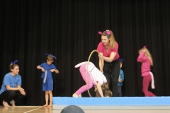 D593FC46-7EC2-4FE6-94B3-E874986EE4D5_1_201_a