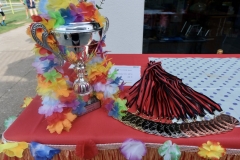 5686b295-9a5d-43af-865f-475234c4d47e_1_201_a_54008458614_l